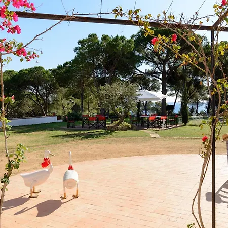 Madronos By Danlux Invest